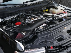 Ford F-250 Powerstroke Cold Air Intake - Dry Extendable - 6.7L Diesel